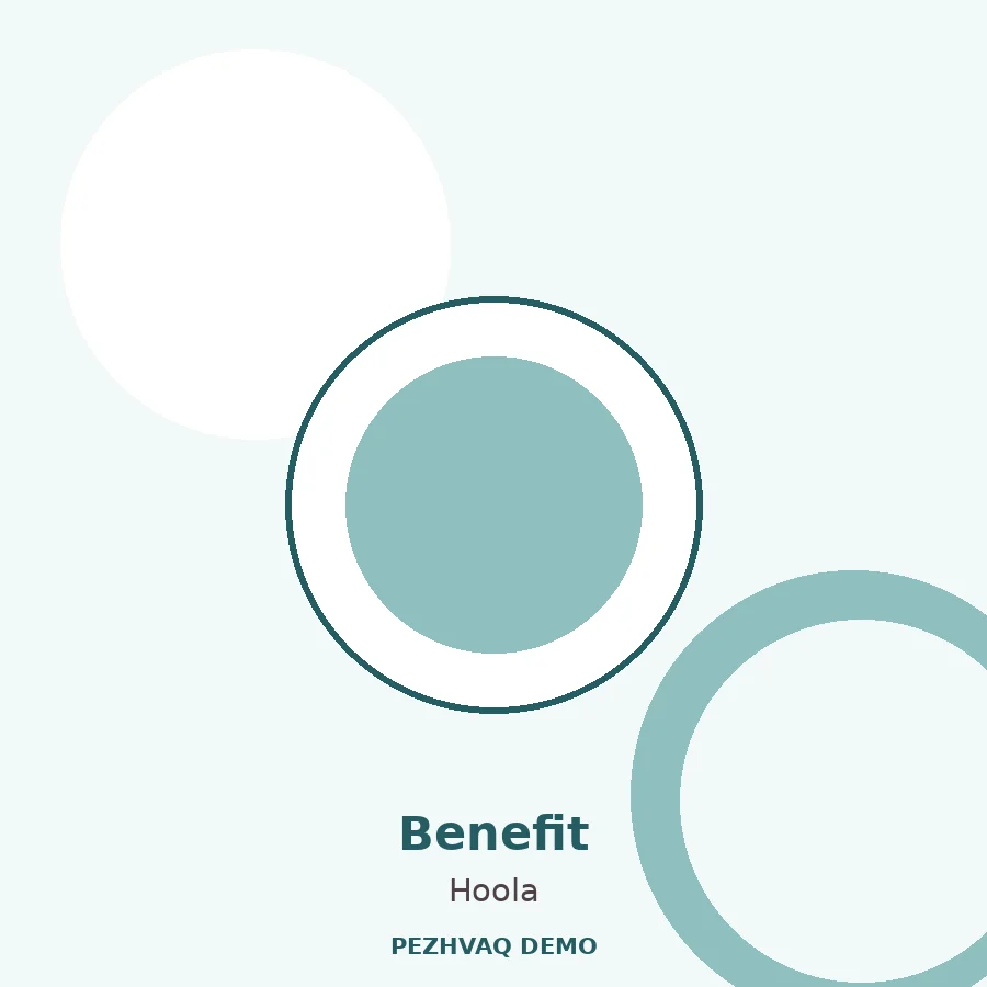 [DEMO] تصویر نمایشی Benefit Hoola Matte Bronzer